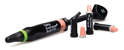 COMPOSITES BULK FILL