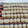 Dientes acrílicos