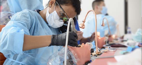 Dentaltix's Best Selling Dentistry Students Rotary Kits