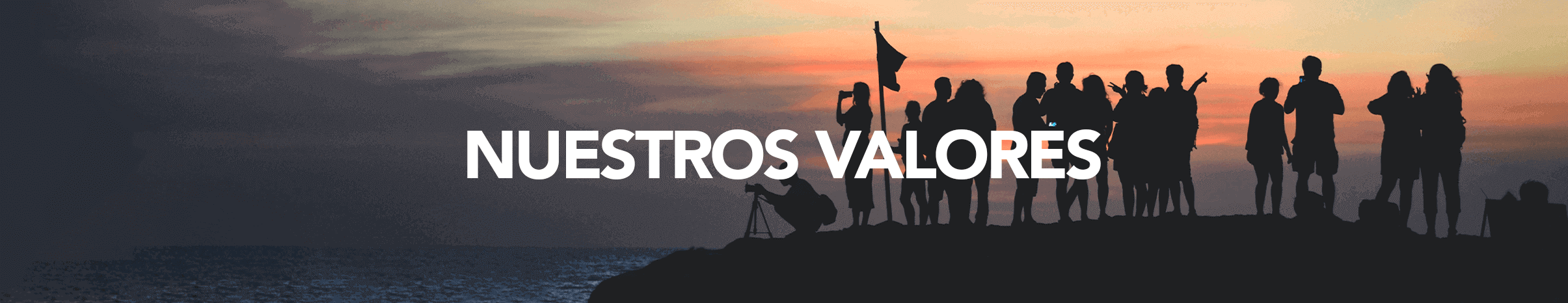 dentaltix-valores