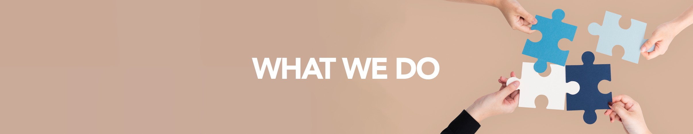 WHAT WE DO