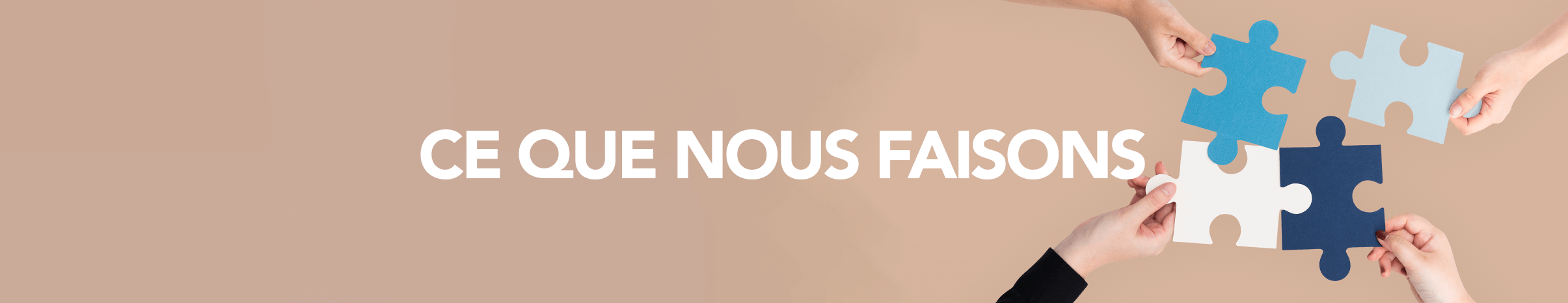 CE QUE NOUS FAISONS