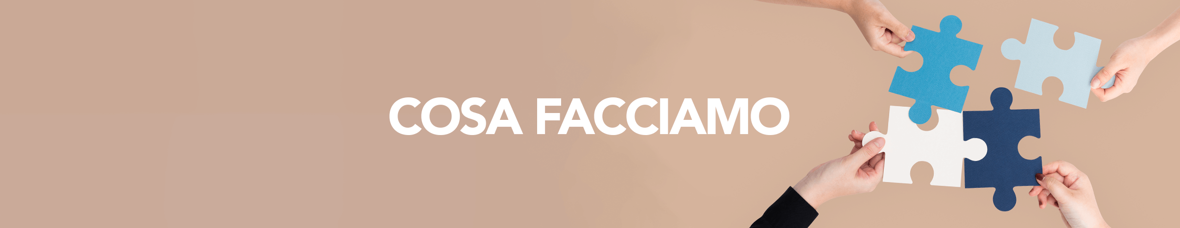 COSA FACCIAMO