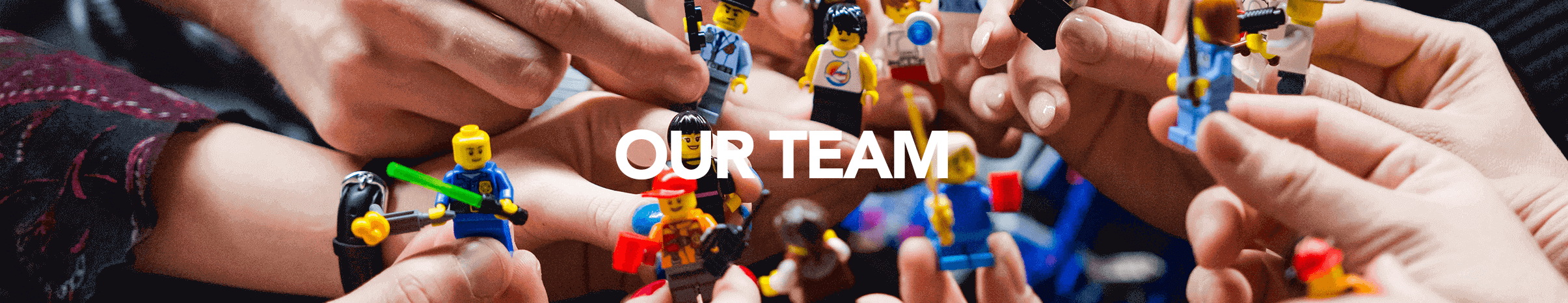 OUR TEAM