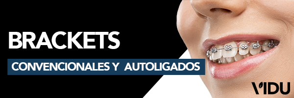 Brackets Vidu Brackets Vidu