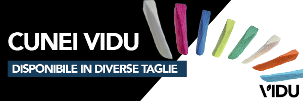 Cunei Vidu IT