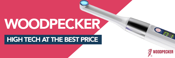 Aesthetic Woodpecker EN