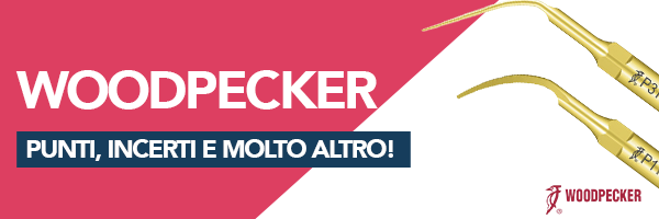Punte per Ultrasuoni Woodpecker IT Punte per Ultrasuoni Woodpecker IT