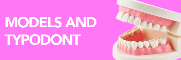 Dental models and typodonts for students EN Dental models and typodonts for students EN