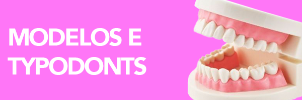Typodonts para estudantes PT