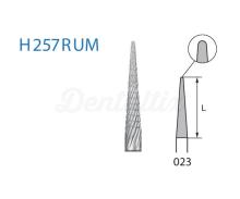 Fresa Cónica Redondeada H257RUM de Tungsteno para PM
