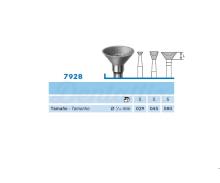 7928.104 Frese Cono rovesciato diamantato cavo PM