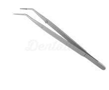 Pinza Nº19 para Odontología