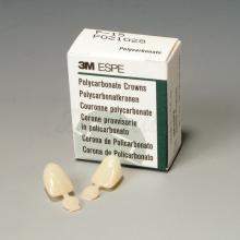 Corone provvisorie in policarbonato (5 pezzi)