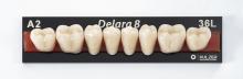 Delara: Dientes Posteriores Inferiores de Resina (8 uds)