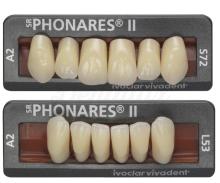 SR Phonares II: Dientes de Resina Anteriores Inferiores (6 uds)