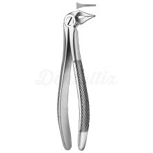 Fórceps de Extracción de Acero para Uso Dental