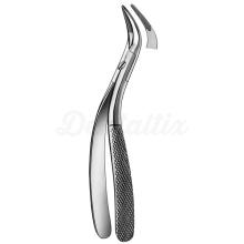 Witzel Fragment Clip for Extraction for Upper Roots