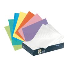 Monoart Tray Paper: Papel Absorbente para Bandejas (250 uds)
