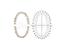 AG-3Z: Conjunto de Dentes AG-3 para Tipodont AG-3