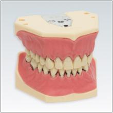 APZOK: Tipodonto Dental