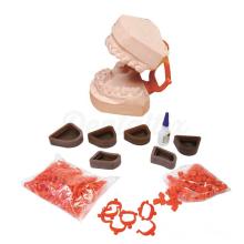 Articulateur de plastique jetables - KIT COMPLET