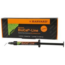 BioCal Line: Cemento MTA Bioattivo (1 Siringa di 1 gr + 12 Punte)