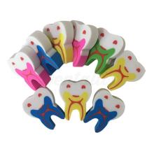 Gomma a forma di molare (50 pz)