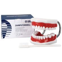 Brosse à dents avec pièce de modèle BIG