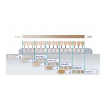 Clearfil AP-X : Guide de couleurs