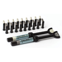 Clearfil Majesty ES-2 Premium: Composite Universal