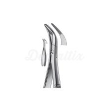 Witzel Fragment Extraction Clip