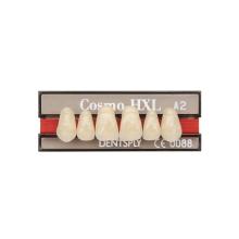 COSMO HXL T10 Dientes anteriores superiores