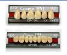 Denti COSMO HXL anteriori superiori S18