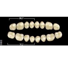 Gnathostar A-D: Dentes Acrílicos Posteriores Inferiores (8 unidades)