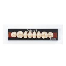 Delara : Dents arrière/supérieures 34U B4 (8 pcs.)