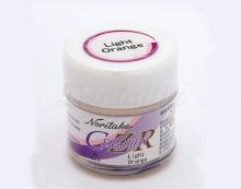 Modificateur Dentine Cerabien CZR (10g)