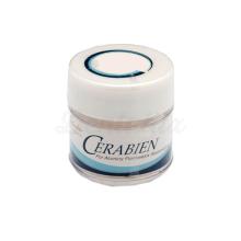 Cerabien Shade Base : Porcelaine pour des structures en alumine