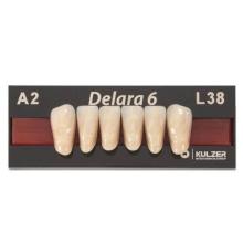 Delara : Dents antérieures/inférieures L38 A3 (6 pcs.)