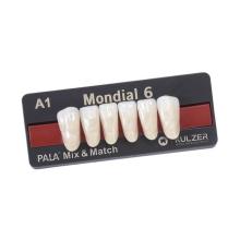 Dents inférieureses précédentes MONDIAL L315