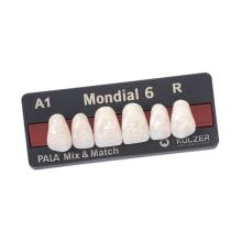 MONDIAL: Dientes Anteriores Superiores R410