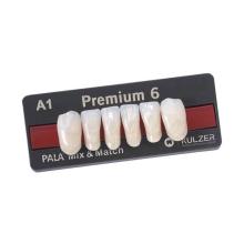 PREMIUM dents antérieureses inférieurese L16