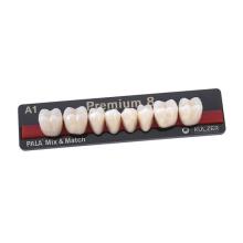 PREMIUM dents postérieureseses inférieureses ML