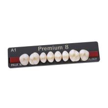 PREMIUM dents postérieureseses supérieuress L