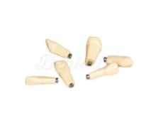 ANKA-4: Denti di ricambio per Tipodonto ANKA-4 (V)