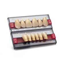 SR precedente Vivodent A25 denti superiori