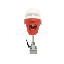 Simple Dental Simulator