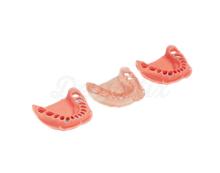 Gencive de Recouvrement pour Mandibule destinée au typodont ANA-4 UK et ANKA-4 - UK