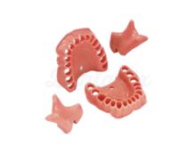 Gencive Élastique et Échangeable pour Modèle AG-3 IB