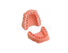 Gencive Souple et Échangeable pour Modèle AG-3 H
